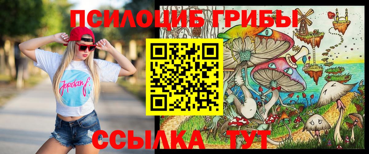 что такое   Вход с VPN  Асбест  Псилоцибиновые грибы прущие грибы 